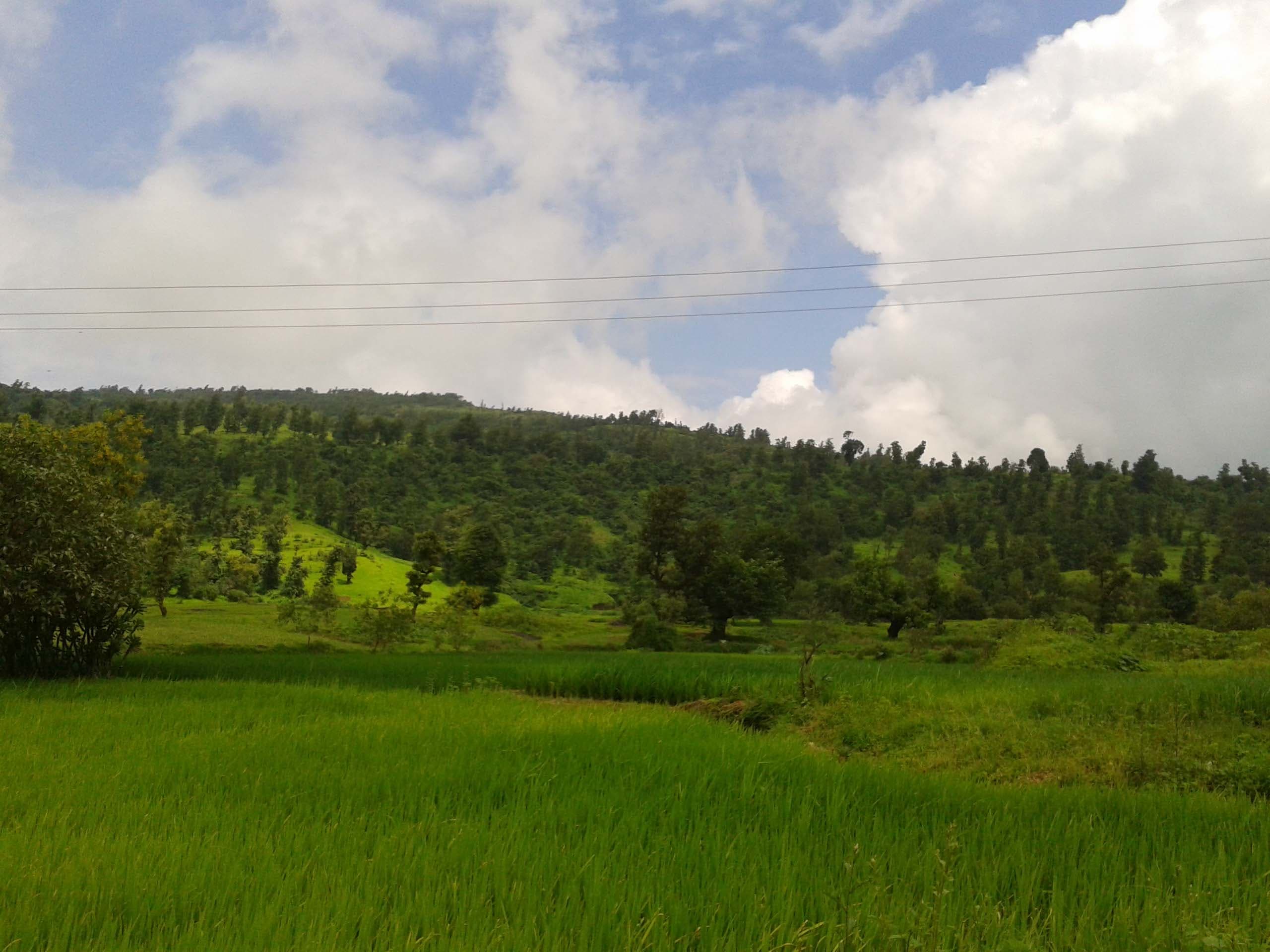 Wilson Hills — a popular destination from Surat