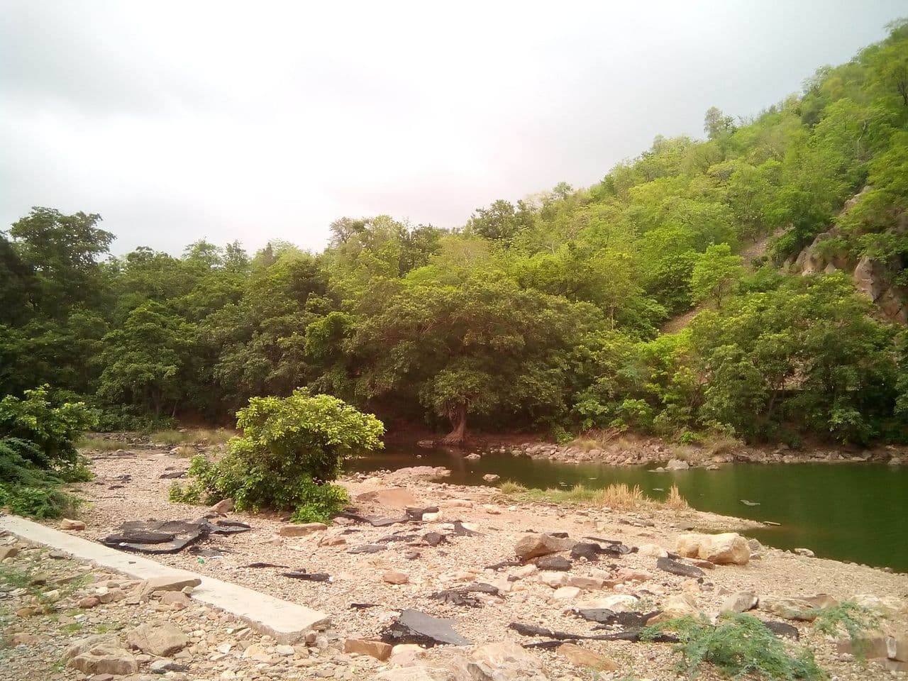 Polo Forest — a popular destination from Surat